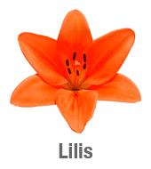 Lilis